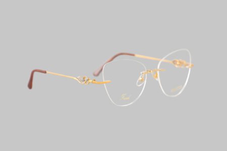Online Eye Spy Gold Cat Frame