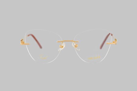 Eye Spy Gold Cat Frame